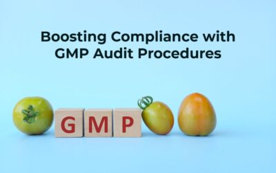 Maximizing Product Quality and Compliance through GMP Audit