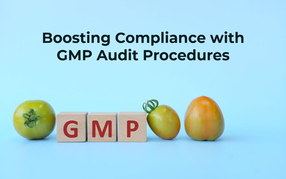 Maximizing Product Quality And Compliance Through GMP Audit